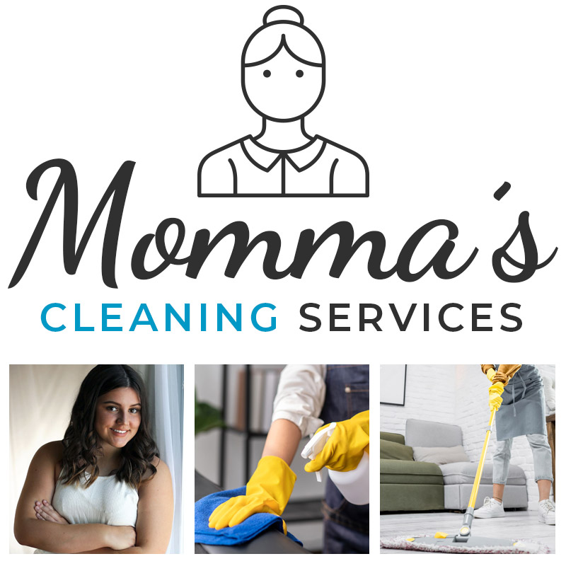 mommas cleaning services in perry ga
